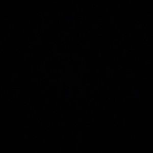 Meet your Posher, Maya